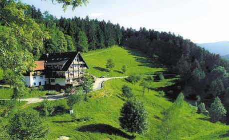 Md Waldhotel Palmspring Bad Peterstal-Griesbach Exterior foto